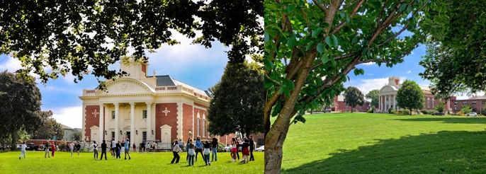 伍斯特学院