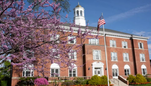 1768299241461047.png 1768299241461047.png