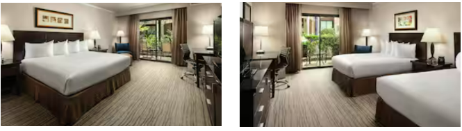 1791703611613991.png